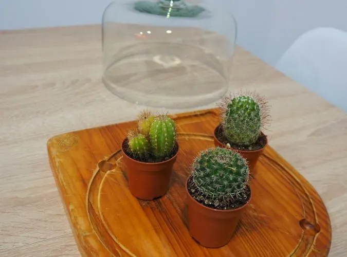 Διαμέρισμα Mejores Vistas De At Azahar *