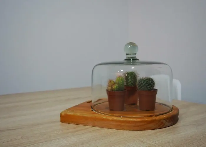 Mejores Vistas De At Azahar Διαμέρισμα *